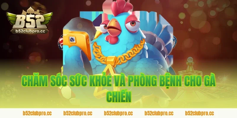 Chăm Sóc Sức Khỏe Và Phòng Bệnh Cho Gà Chiến - Cách Nuôi Gà Đá Bo Lớn Khoa Học