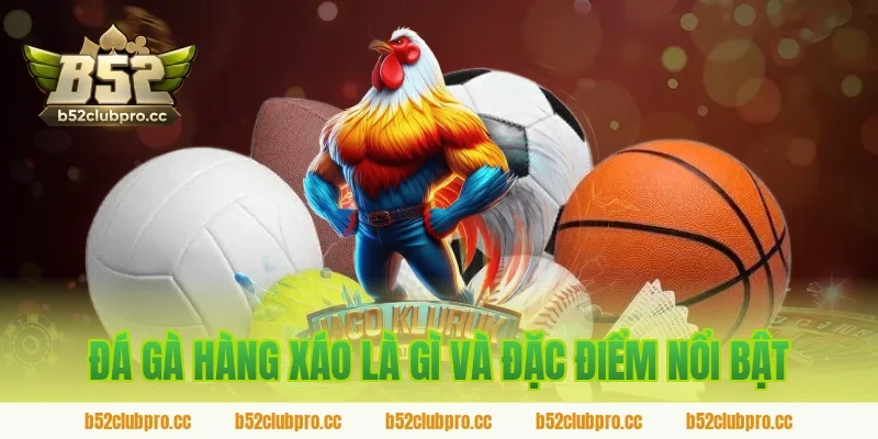 Đá gà hàng xáo là gì và đặc điểm nổi bật tại B52