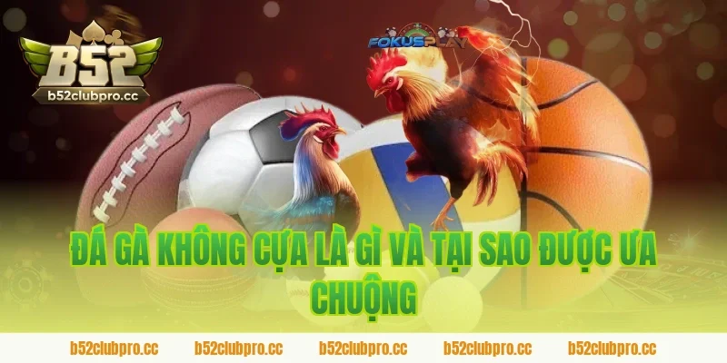 Đá gà không cựa là gì và tại sao được ưa chuộng trên sảnh B52