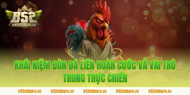 Khái niệm đòn đá liên hoàn cước và vai trò trong thực chiến được B52 tổng hợp
