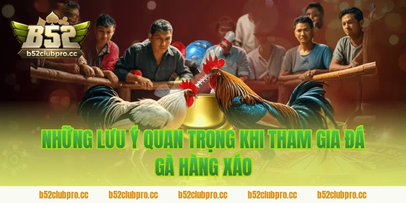 Những lưu ý quan trọng khi tham gia đá gà hàng xáo B52